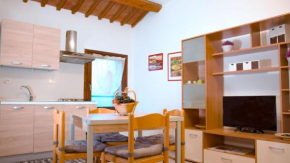 The History Apartment - Le Cà De Boron Montagnana